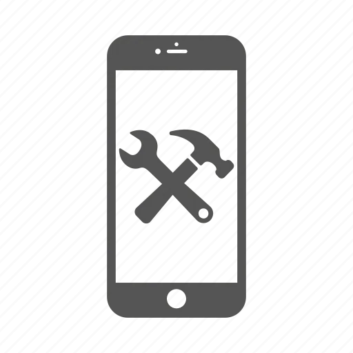 Software Issue